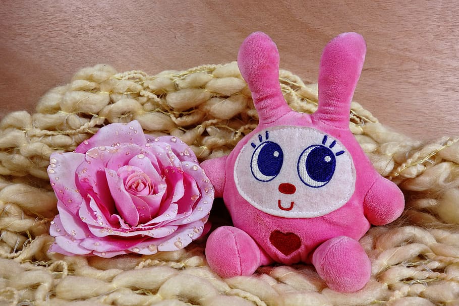 animal, stuffed animal, cuddly toy, rabbit, pink rabbit, fluffy, HD wallpaper