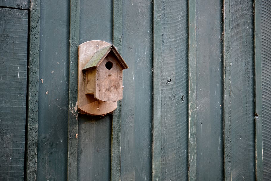 birdhouse, brown wooden birdhouse on wall, bird house, hosue, HD wallpaper