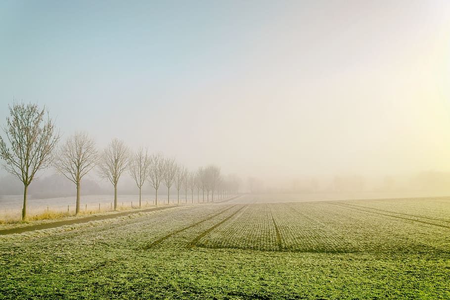 landscape photography of field, green grass field, Winter, fields HD wallpaper