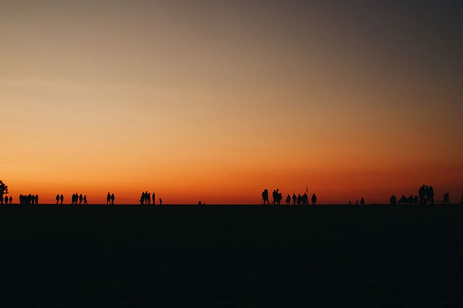 silhouette of people standing across sunset, silhouette photo of people walking HD wallpaper