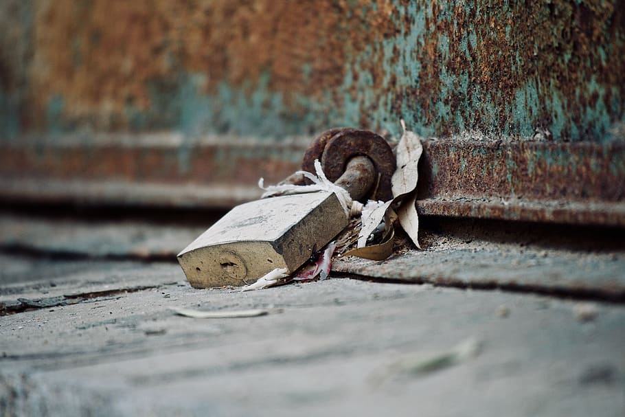 padlock, rust, closed, iron, union, decadence, door, steel HD wallpaper