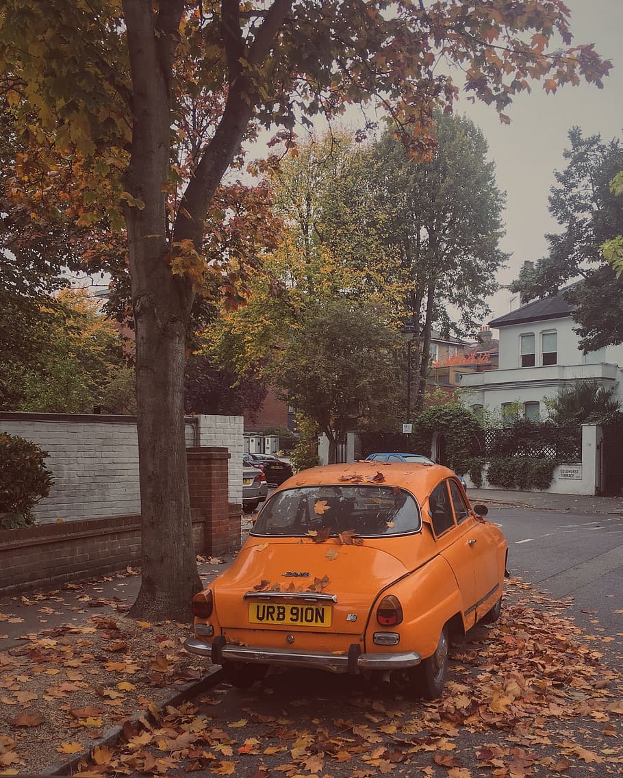 London, Street, England, autumn, urban, city, uk, leaves, fallen