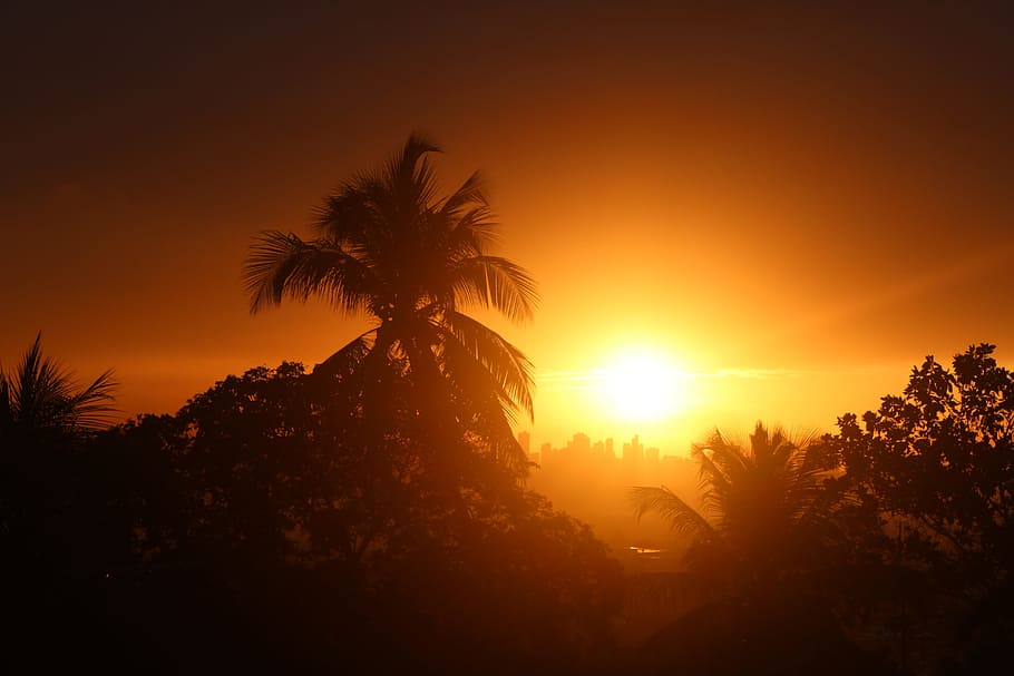 Sunset, Setting Sun, abendstimmung, afterglow, evening sky HD wallpaper