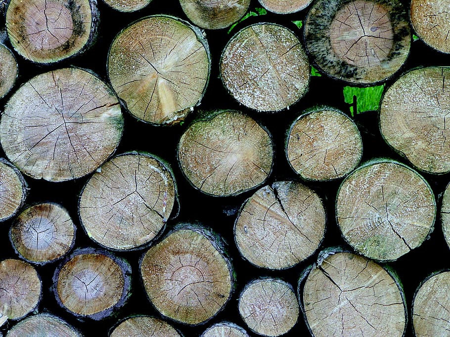Pile, Wood, Wood, Stack, Firewood, pile of wood, nature, sawn, HD wallpaper