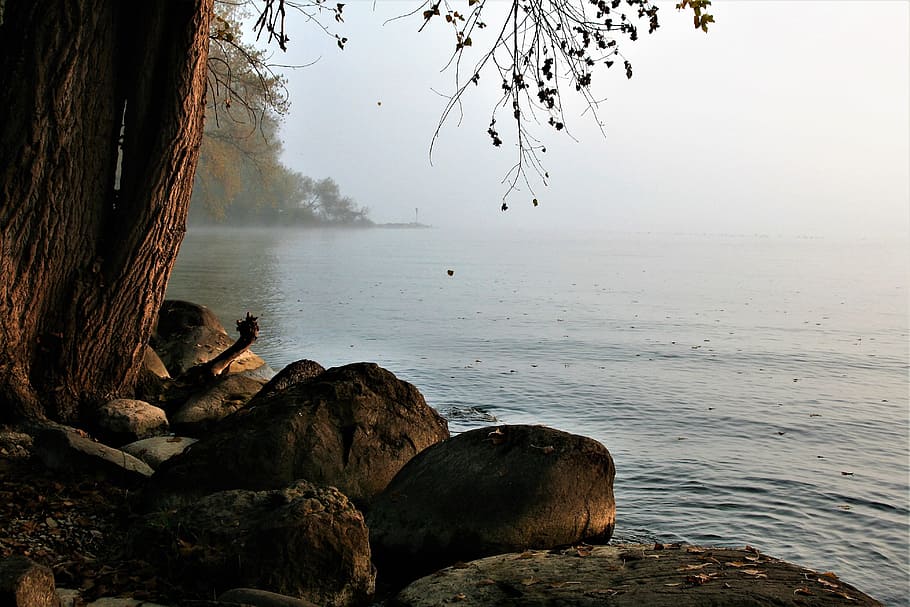 rock formation near body of water, lake, bodensee, beach, dawn HD wallpaper