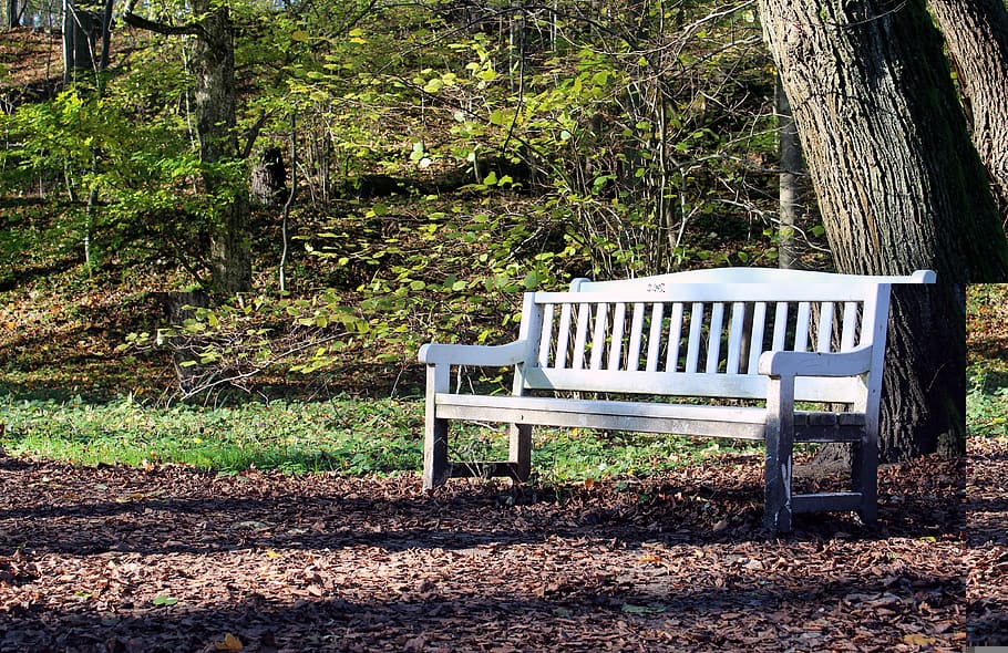 bench, tree, foliage, green, white, plants, garden, nature HD wallpaper
