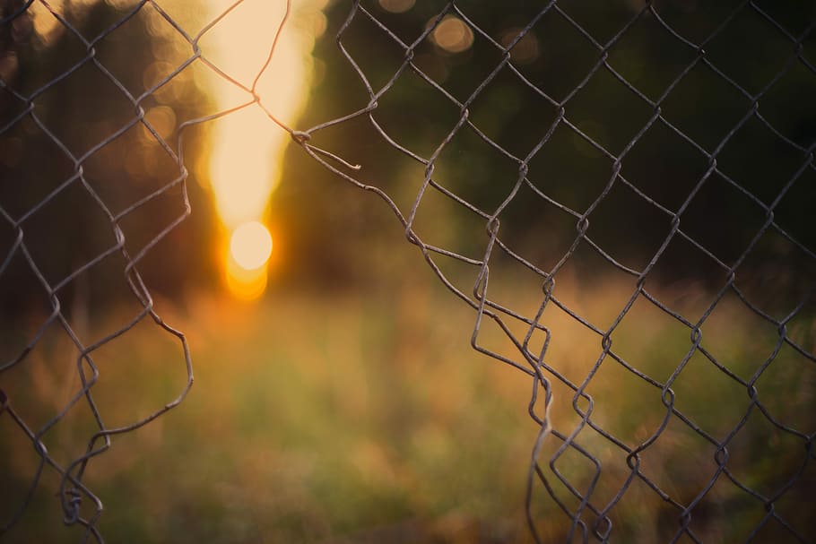 selective focus photo of broken fence, background, dom, grid, HD wallpaper