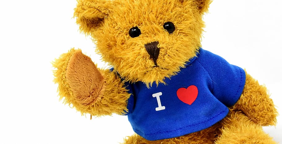 brown bear plush toy, teddy, cute, soft toy, animal, teddy bear, HD wallpaper