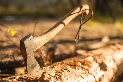 axe on top of log, forest, tourism, camping, metal, work tool HD wallpaper