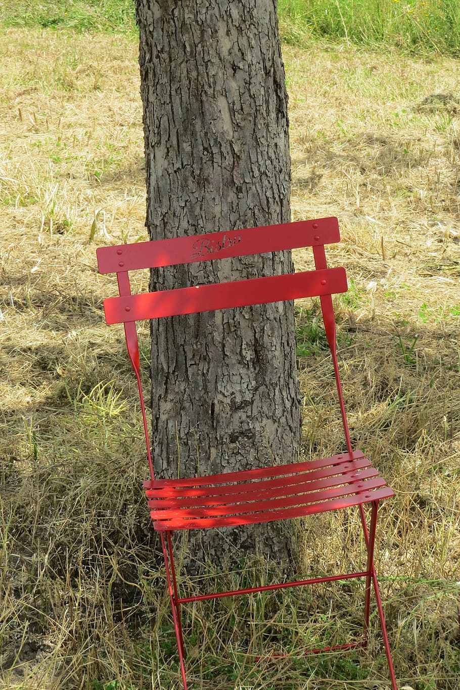 chair, tree, w, rest, atmosphere, seat, mood, tolbiac, state garden show HD wallpaper