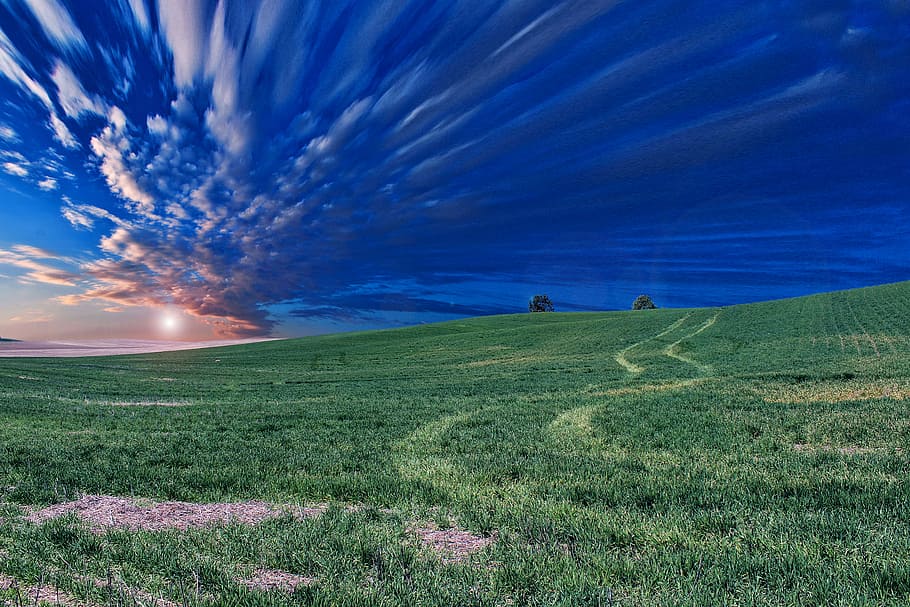 time lapse photography of green field and clouds, green grass field under blue sky during daytime HD wallpaper