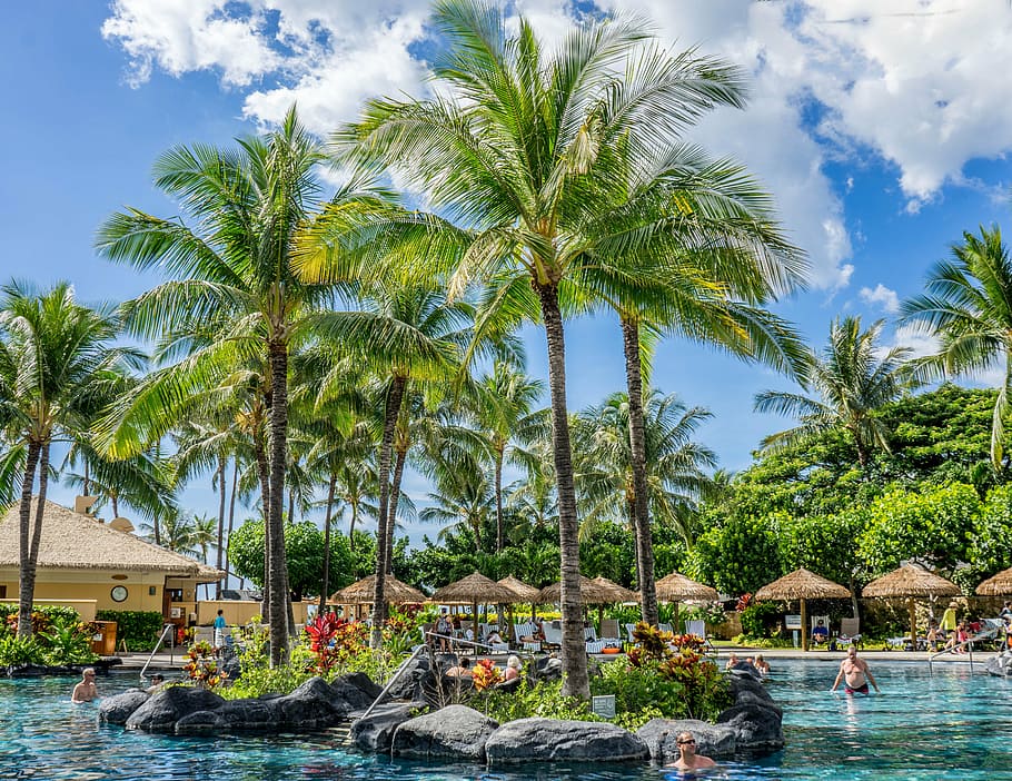 clouds, fun, huts, palm trees, paradise, people, pool, resort HD wallpaper