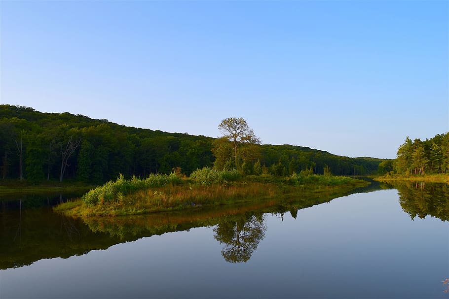 lake, reflection, park, trees, blue, water, nature, landscape HD wallpaper