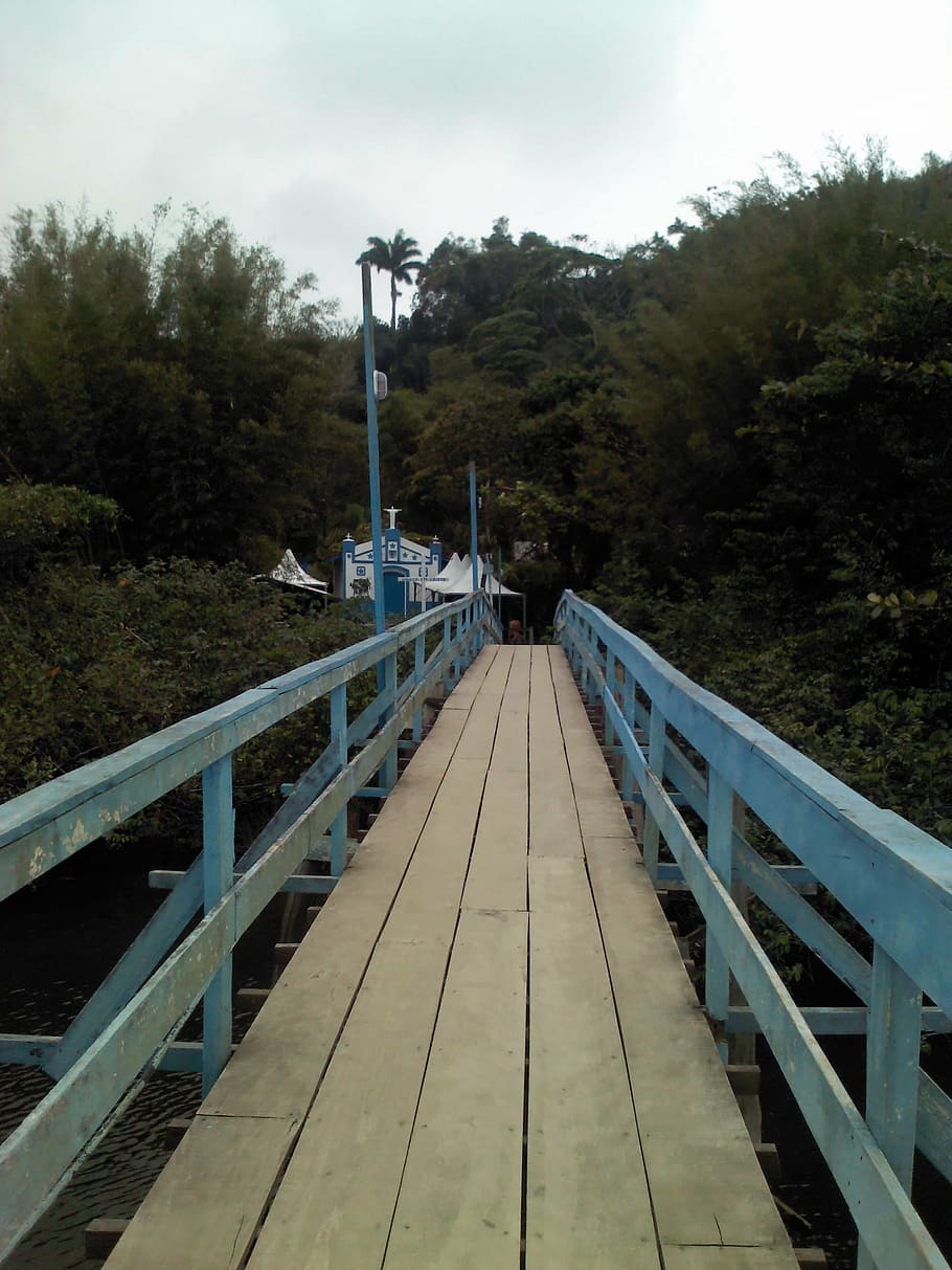 bridge, rio, landscape, tree, plant, the way forward, direction HD wallpaper