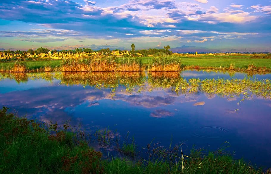 green grass, Sunrise, Dawn, Hue, Vietnam, Lake, Water, nature, HD wallpaper