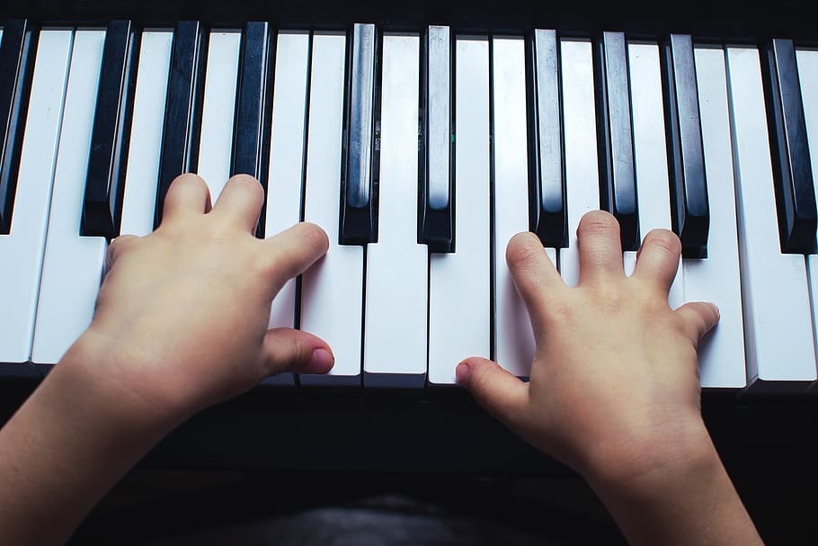 piano, key, tool, synthesizer, play, music, musician, sound HD wallpaper