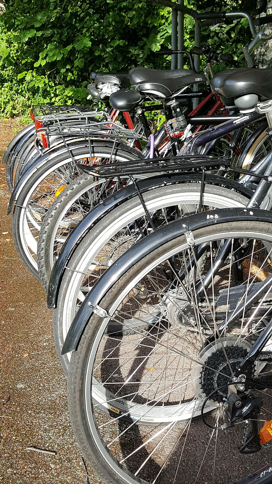 cycle, bike racks, transport, transportation, mode of transportation HD wallpaper