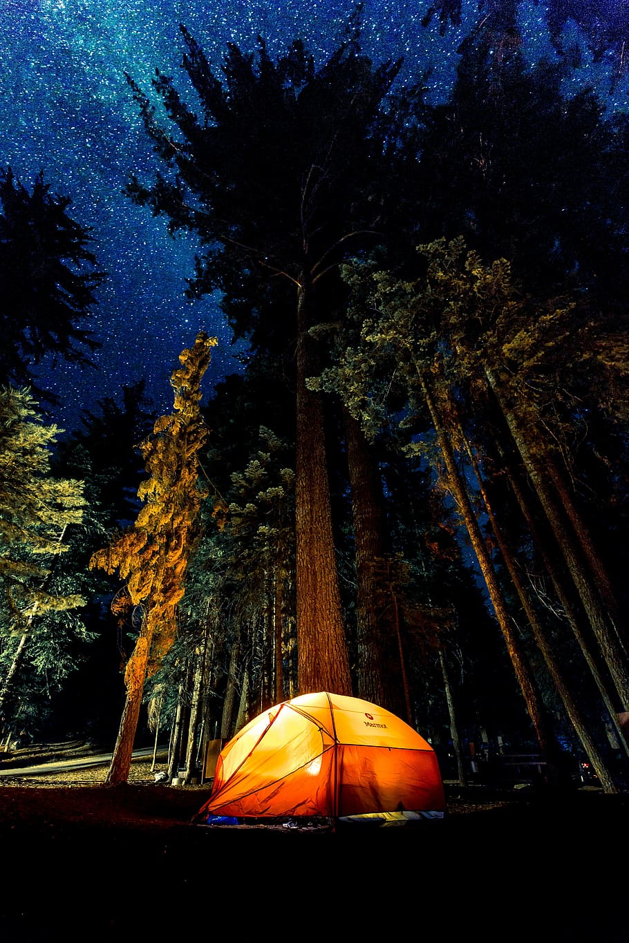orange and yellow tent under night sky, camping, dark, forest HD wallpaper