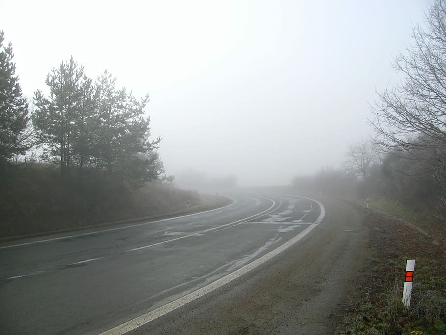 Road, Secondary, Fog, Tree, secondary road, foggy, trees, winter, HD wallpaper