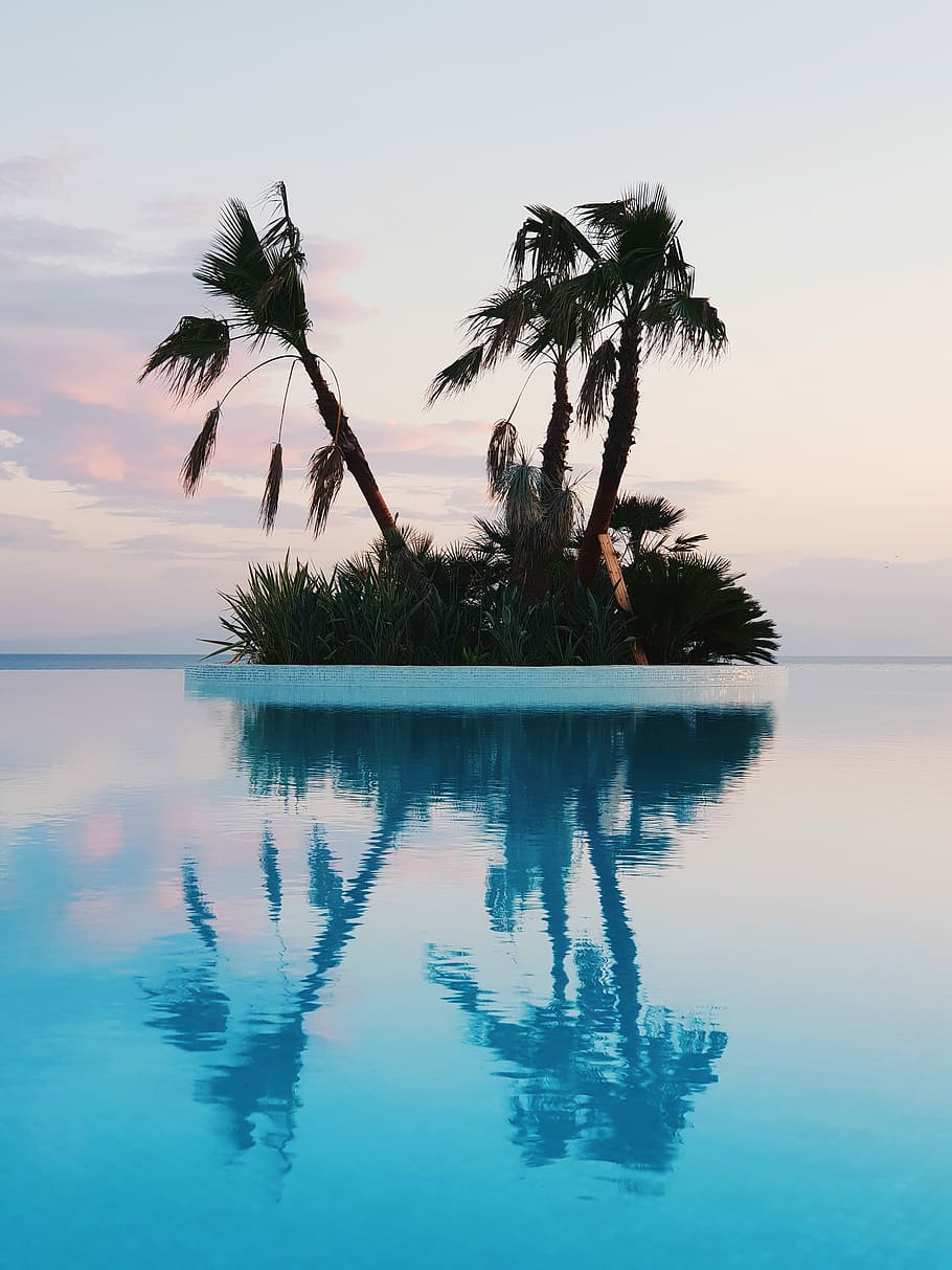 trees reflecting on still body of water, photo of green leaf trees on island under white clouds at daytime HD wallpaper