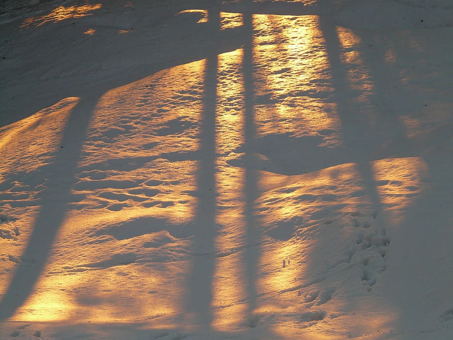 shadow play, snow, winter, wintry, back light, golden, sun HD wallpaper