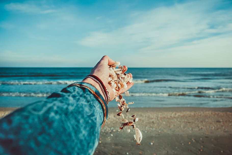 person throwing seashells on seashore, selective focus photography of person releasing pebbles on seashore HD wallpaper