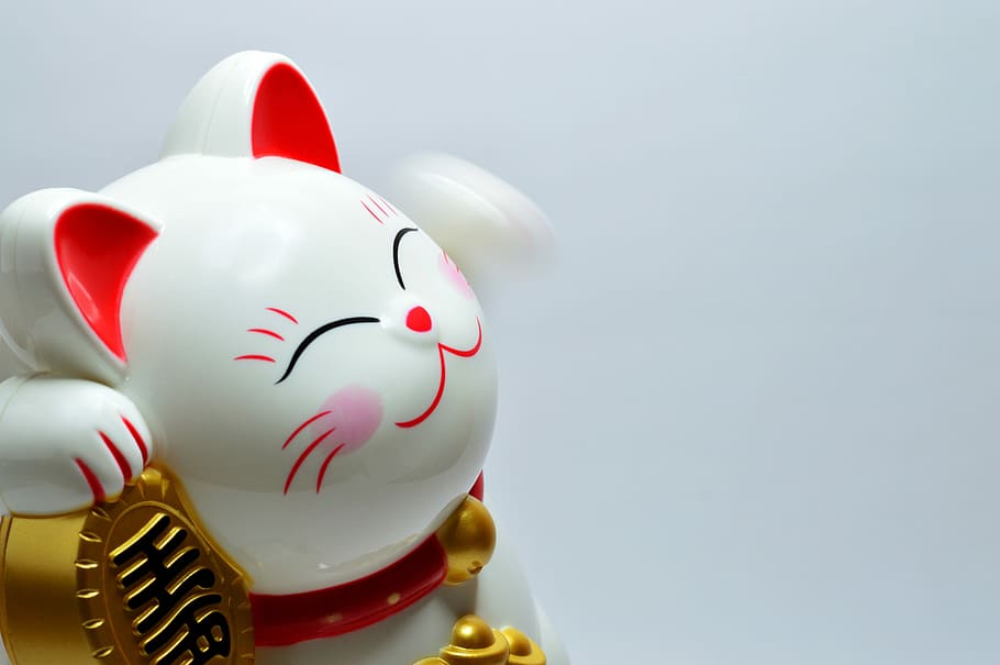 mani kineko figurine, good luck, lucky, fortune, culture, cat, HD wallpaper
