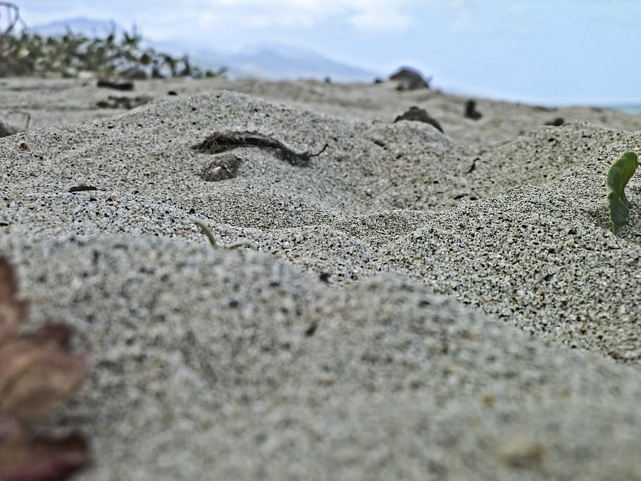 beach, sol, arena, sand, land, day, nature, no people, selective focus HD wallpaper