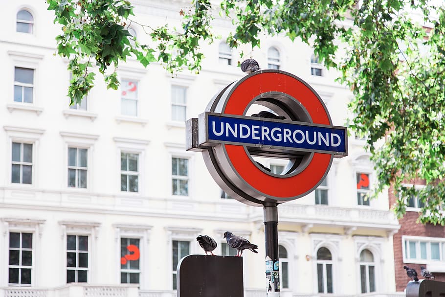 photo of red and black Underground street signage with two birds on top, Underground store signage HD wallpaper