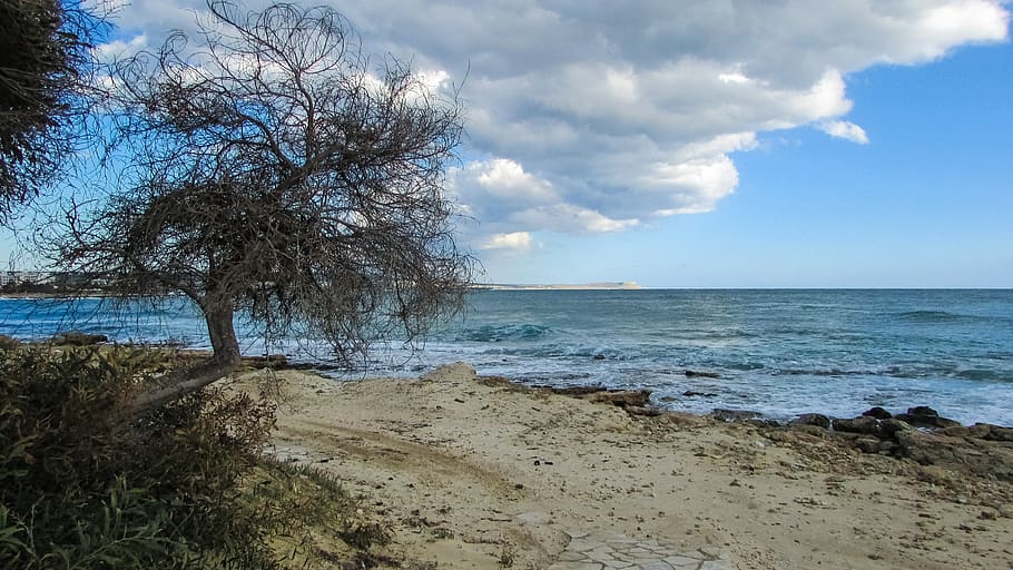 cyprus, makronissos beach, tree, clouds, water, sky, sea, beauty in nature HD wallpaper