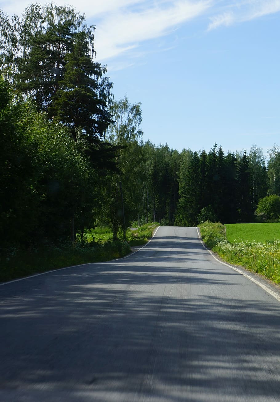 Finnish, Road, Shadows, Summer, countryside, green, tree, the way forward HD wallpaper