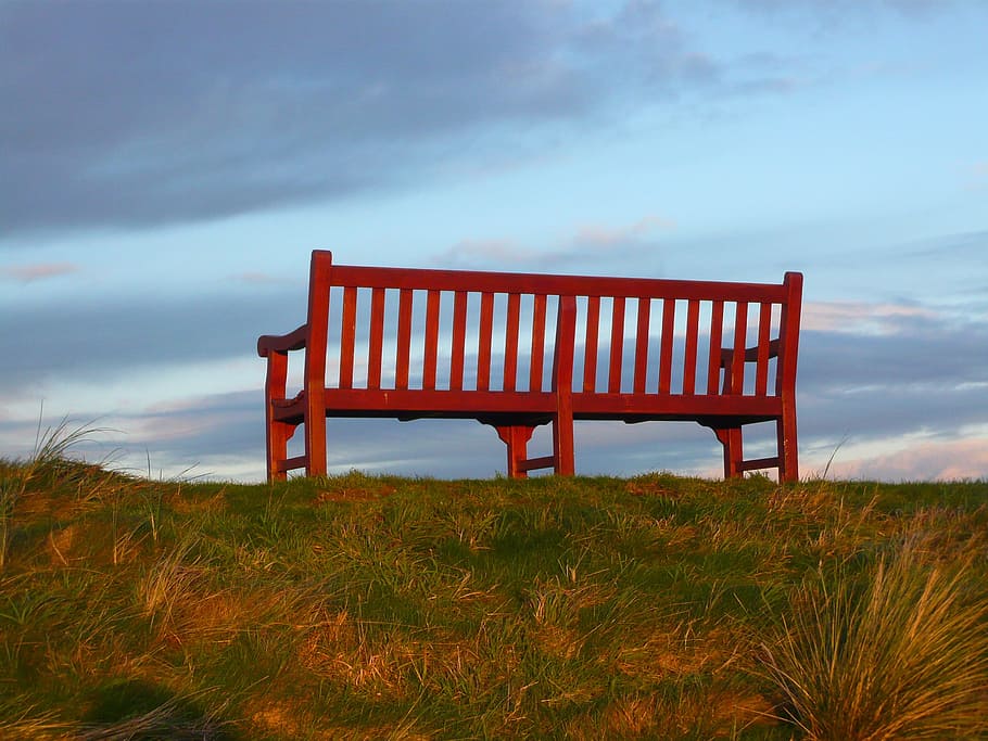 Brown Wooden Bench on Green Grass Field, empty, nature, outdoors HD wallpaper