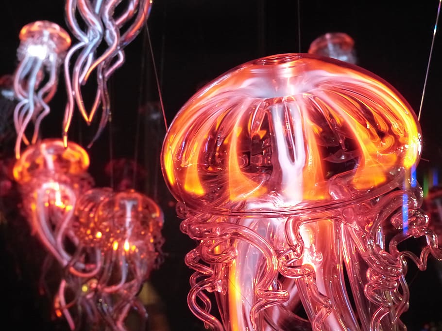 close-up photography of jellyfish, Luminous, Light, luminous jellyfish HD wallpaper