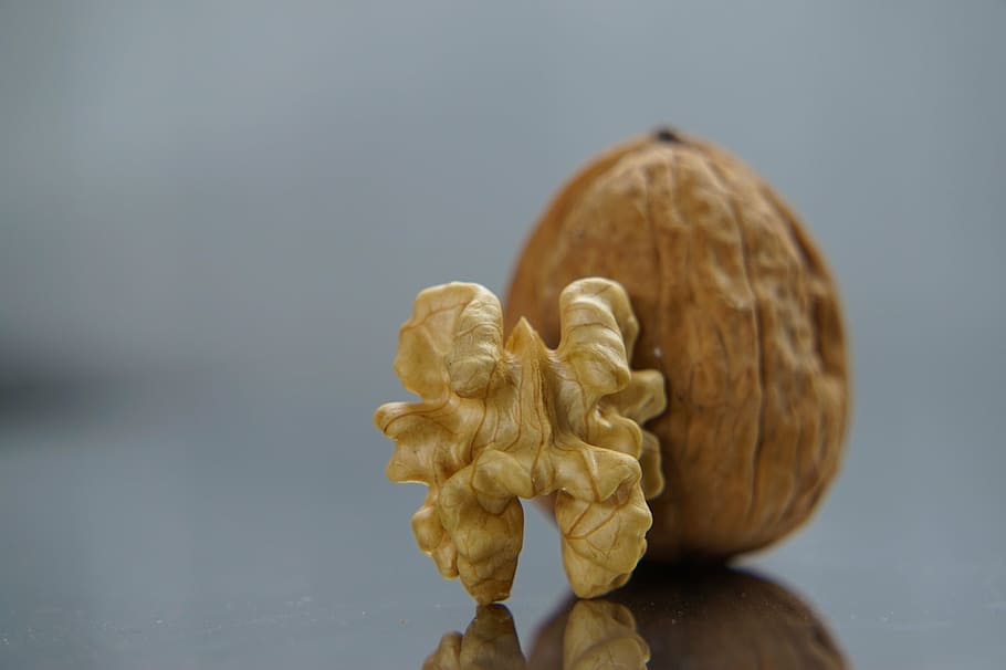 brown walnut, nuts, dry fruit, food, nature, studio shot, wood - material HD wallpaper