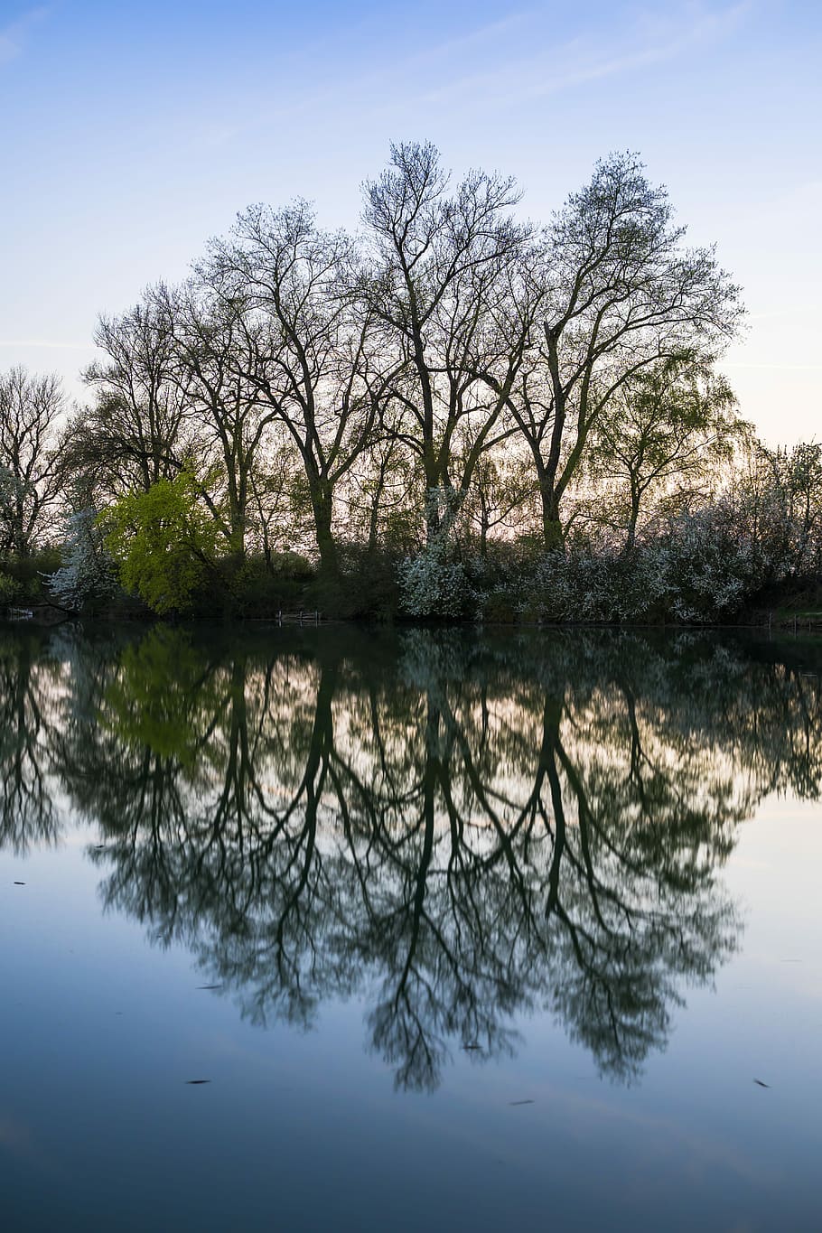 nature, reflection, trees, landscape, waters, lake, mirroring HD wallpaper