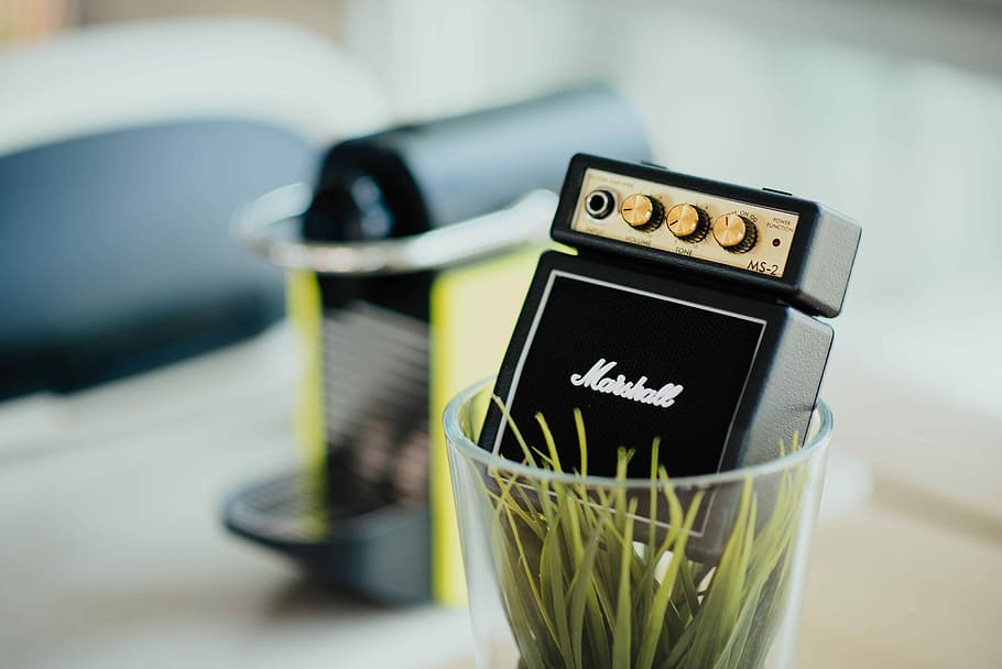 Marshall amplifier in vase, shallow focus photography of black decor