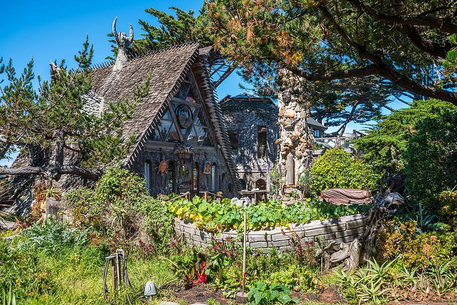 Cottage, House, Villa, tree, day, focus on foreground, outdoors HD wallpaper