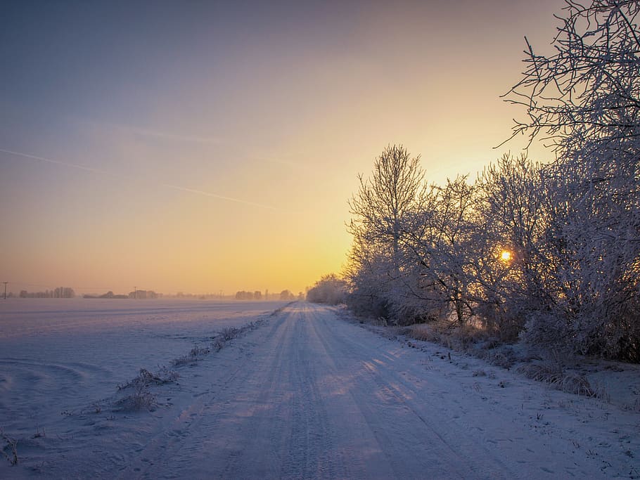 snow on road and trees, winter, sunrise, wintry, landscape HD wallpaper