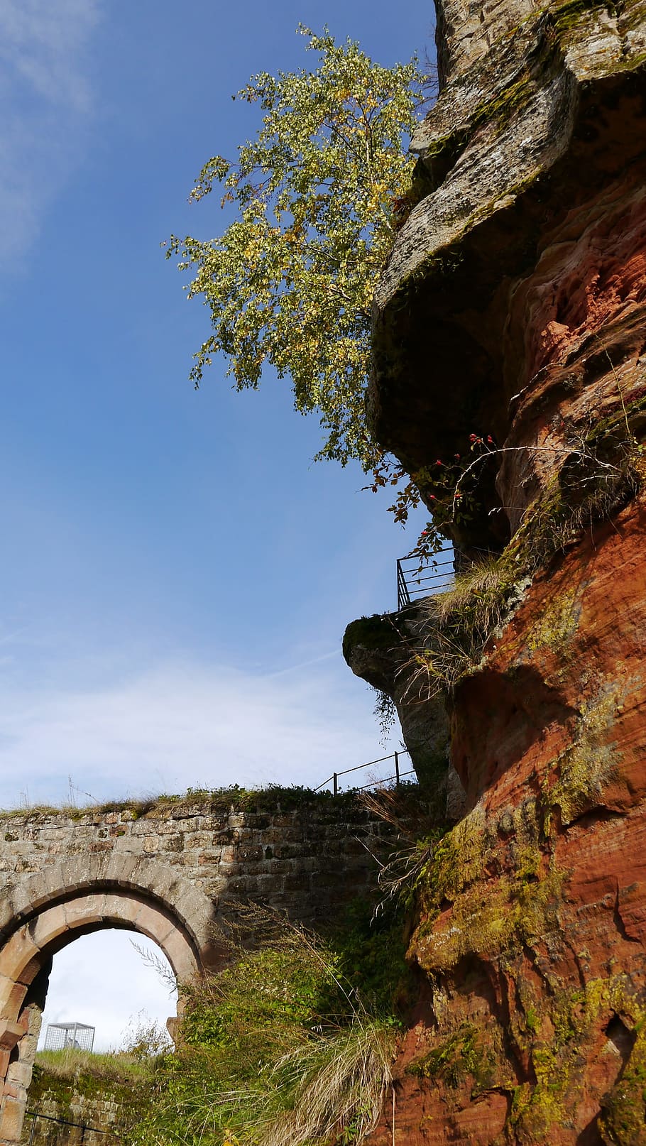 palatinate, castle, ruin, sky, tree, rock, plant, nature, day HD wallpaper