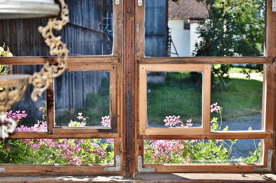beige wooden windowpane, old, ailing, flowers, atmosphere, view HD wallpaper