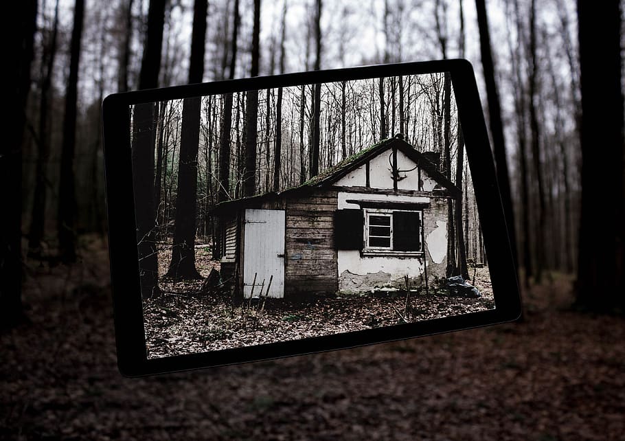 wood, abandoned, rustic, decay, house, tree, old, building HD wallpaper