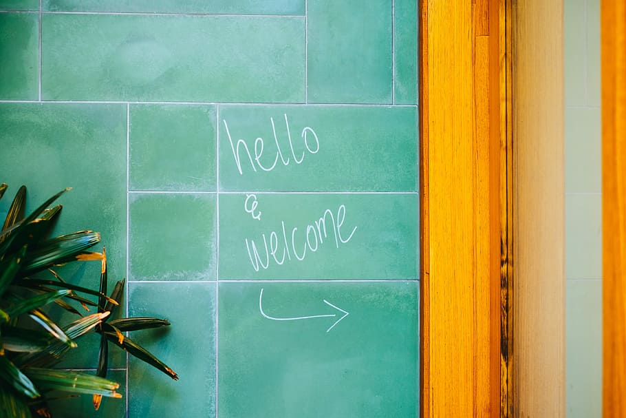 hello welcome painted on wall near green leaf plant, arrow HD wallpaper