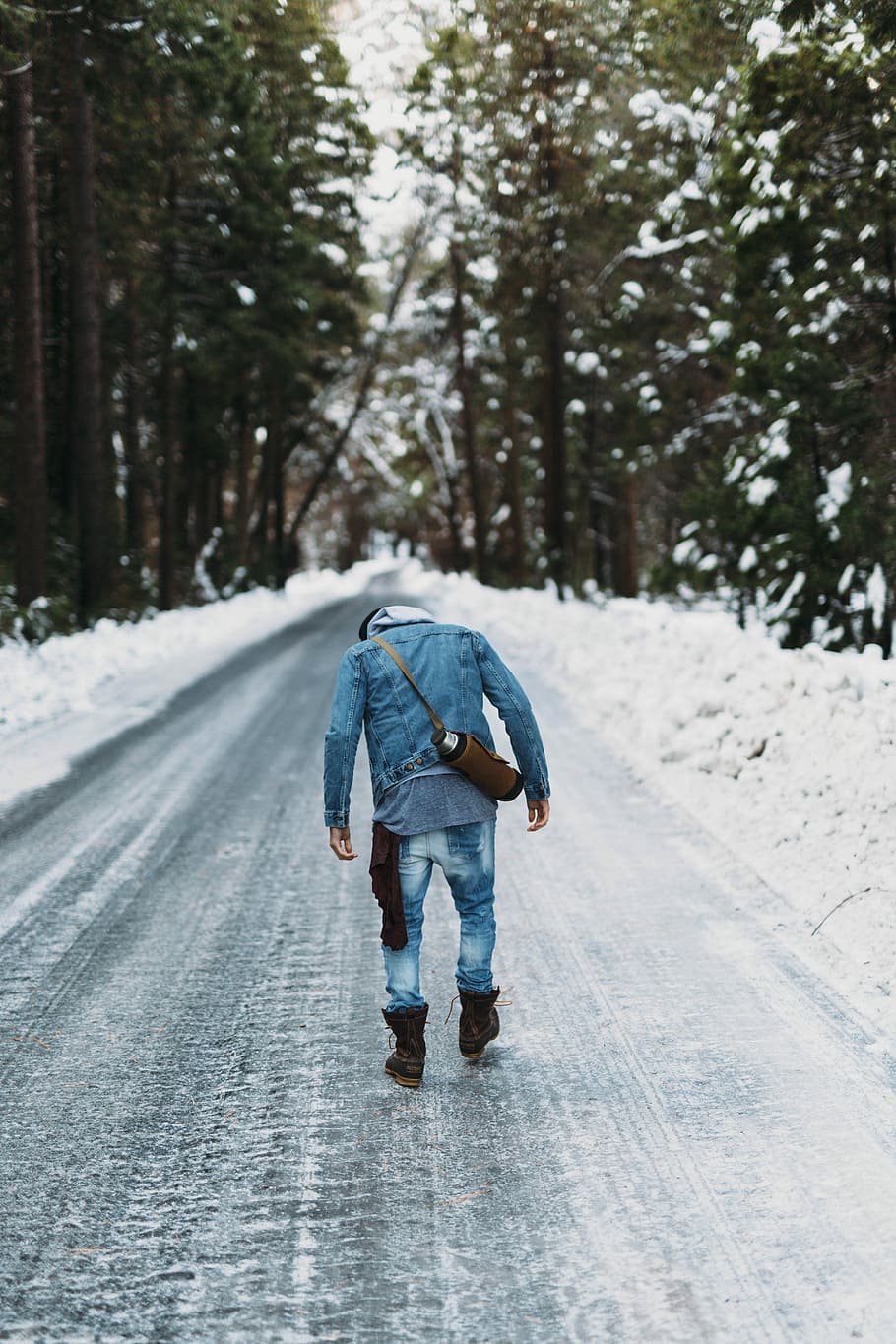 men's blue coat, man walking between tall trees, road, track HD wallpaper