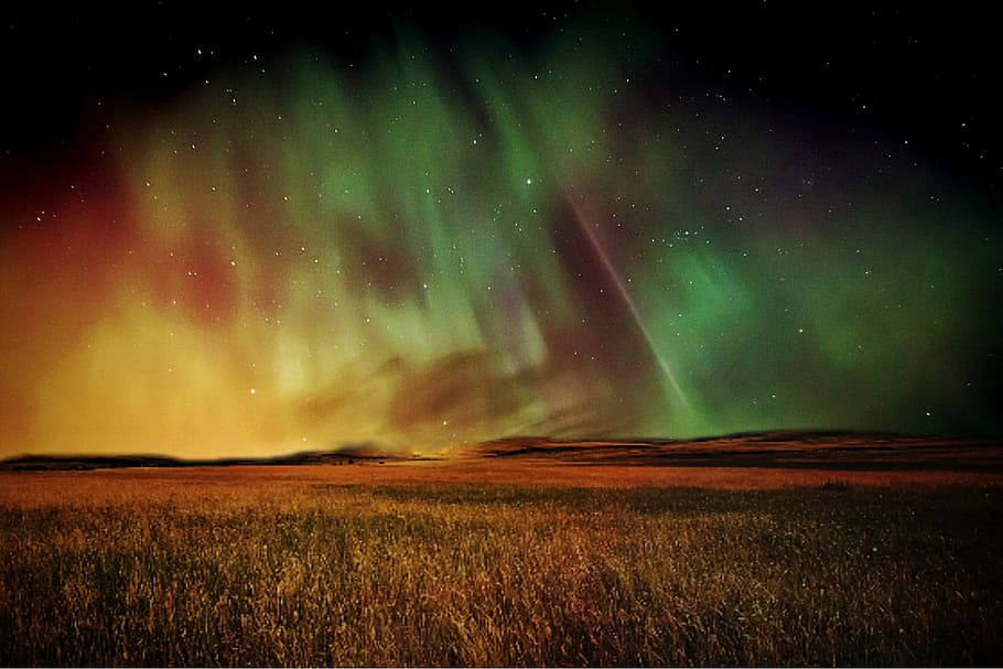 low light photo of grass field under nebula, cornfield, sky HD wallpaper