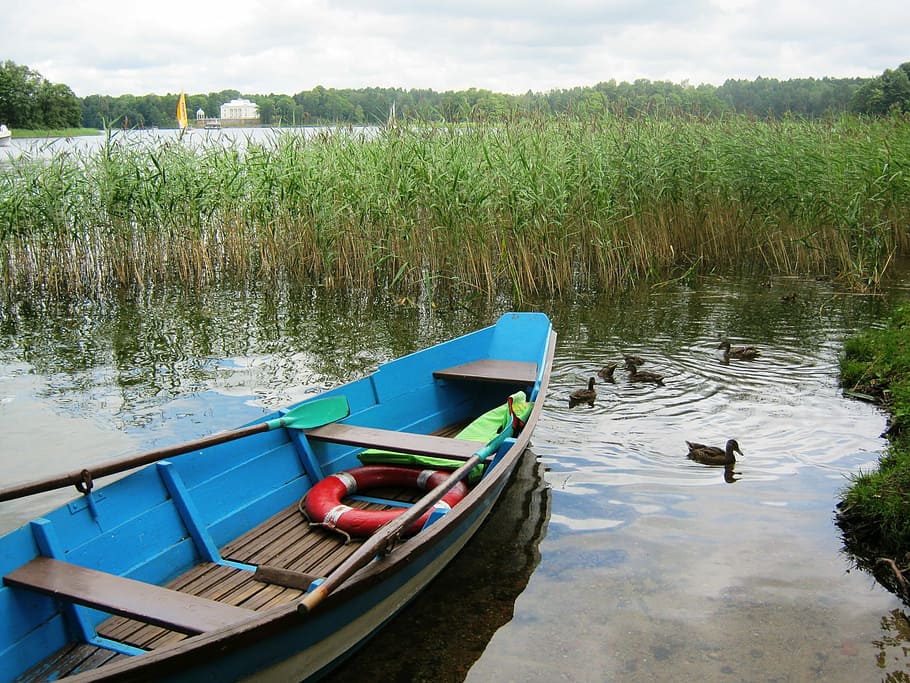 Lake, Boat, Forage Cap, Ducks, water, nature, nautical vessel HD wallpaper