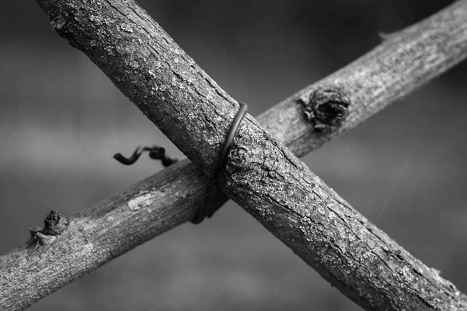 branch, branches, wire, cross, black and white, nature, beauty HD wallpaper