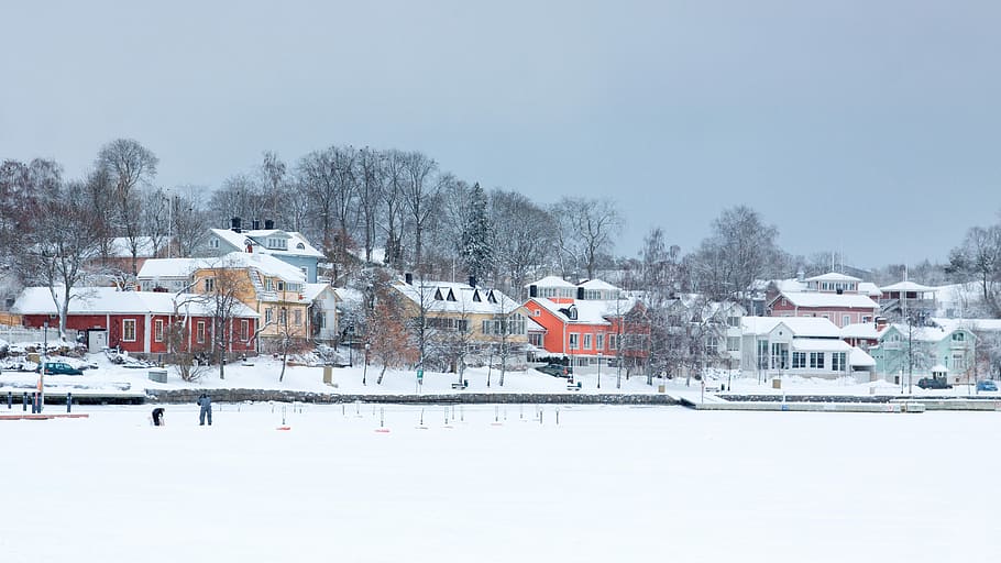 houses covered with snow, Town, Architecture, Village, small