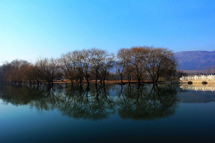 the-west-creek-wetlands-the-scenery-lake-view.jpg