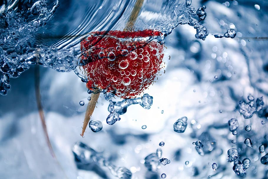 selective focus photograph of stick drip in water, raspberry HD wallpaper