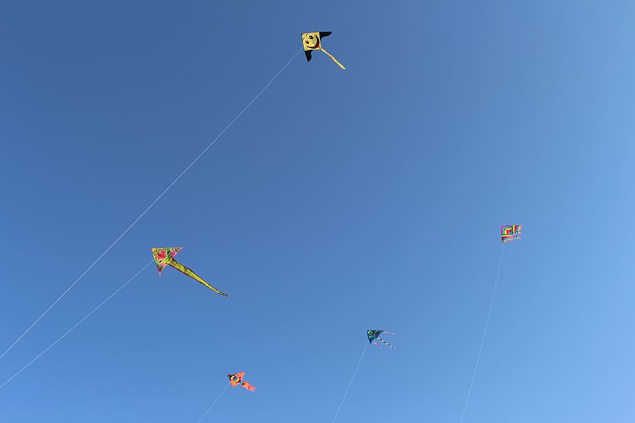 Sky, Kite Flying, Flying, Dragon, Game, Fun, cant, blue, mid-air HD wallpaper